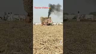 most Badly #Mud Stuck #Trailer #Belarus #Tractors Pulled #Out Extremely #Powerf