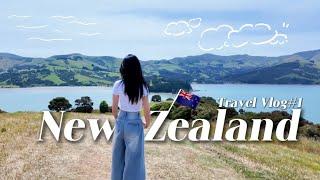 【New Zealand Vlog EP1】上帝的後花園紐西蘭｜基督城景點踩點 每個角落都美不勝收🩷｜喵Miya