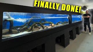 The 16 foot aquarium is done! Planted and scaped monster fish tank!! The king of DIY