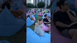 저런 눈빛 처음이야! #광화문광장