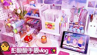 Peng sour Handbook vlog｜Desk organization｜OCD benefits｜Immersive ASMR｜JournalWithMe【Peng sour】