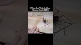 LITERALLY bro #shortsfeed #shorts #memes #creepy #motivation #funnyclips