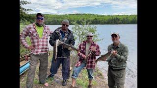 Algonquin Trout May 22 2022