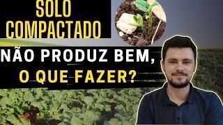 Solo compactado não produz bem, O que fazer?