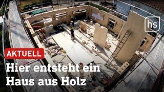 Neues Holzbausystem für Häuser: die Zukunft des Bauens? | hessenschau