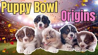  How the Puppy Bowl Became America's Cutest Super Bowl Alternative! 