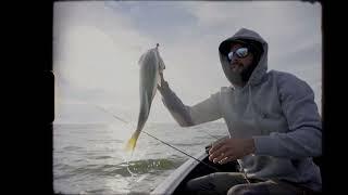 Perch and Zander fishing in The Netherlands