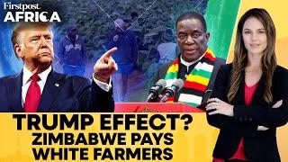 Zimbabwe to Pay Displaced, Foreign White Farmers After Trump-south Africa Row |Firstpost Africa|N18G