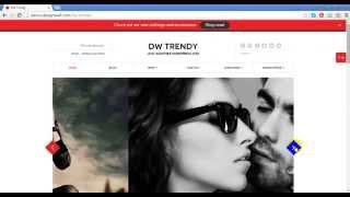 DW Trendy - Responsive WooCommerce WordPress Theme Preview