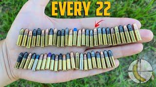 I Found The Most Insane 22 LR Bullet Available