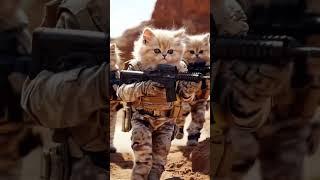 Meow Team Six awaiting orders, Mr President!