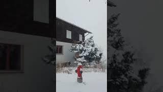 #겨울왕국#눈 덮인 스위스#스위스여행Sweet Snow Tree#a snowy village in Switzerland#하얀 눈#통나무 집 풍경#겨울 풍경#하얀 눈#설경#크리스마스
