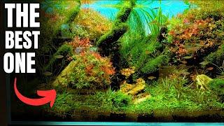 Discovering Aquascaping Stores in Tokyo