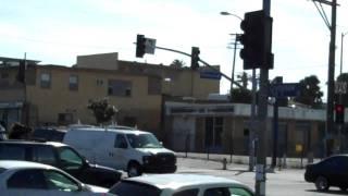 Horses walk through south Los Angeles
