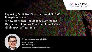 Exploring Predictive Biomarkers and ERK1/2 Phosphorylation: A New Horizon in Glioblastoma Treatment