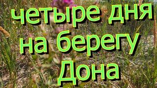 Четверо суток на Дону с палаткой и спиннингом.Рыбалка и отдых. #РыбалкаНаДону #РыбалкаИотдыхСудочкой