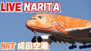 LIVE at NARITA International Airport Plane Spotting　2024.10.21成田空港ライブカメラ 成田空港　NRT/RJAA