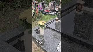 Памятник из гранита Балтик Грин и известняка за 800 тыс рублей - обзор