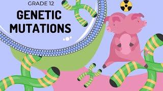 Mutations | Differences between Gene and chromosomal mutations