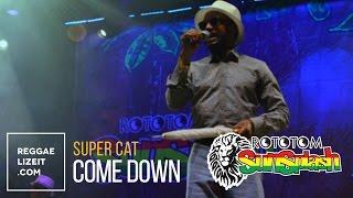 Super Cat - Come Down @ Rototom Sunsplash 2015