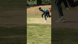 Cricket catch of the day , Great catch , #shorts #youtubeshorts