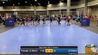 12 Select vs. Triangle 12 Black (2025.03.29)