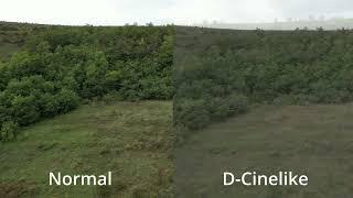 Normal vs D-Cinelike (DJI Mini 3 Pro, No color grading)