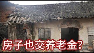 住房养老金横空出世，连个铺垫都没有：有一群小角色起到了大作用