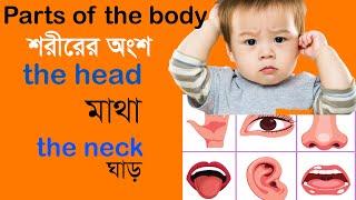 LEARN ENGLISH FOR KIDS | Parts of the body