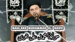 Maulana Muhammad Ali Naqvi | i.b bazm e fatima shah faisal korangi karachi #maulanamuhammadalinaqvi