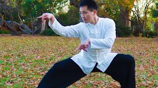 Shaolin Kung Fu Wushu Praying Mantis For Beginners -Session 2