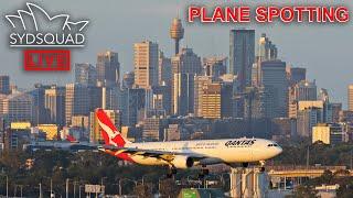 [4K]Busy Plane Spotting Afternoon @ Rydges Sydney Airport! SydSquad Live Stream Highlights