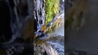 Заповедный край#алтай#местосилы и энергии