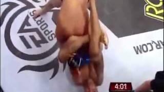 Fabricio Werdum vs Fedor Emelianenko