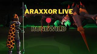 RuneWild Araxxor for a little bit  Live