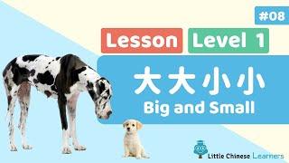 Kids Learn Mandarin - Big and Small 大大小小 | Beginner Lesson 1.8 | Little Chinese Learners