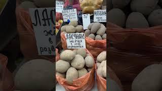 Беларусь  МинскЦенана картофель  Рынок️28марта2025 ️️️