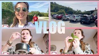 VLOG 23: SUSRET ALFISTA U RAPCU, ULOVIO ME VIRUS; DOMACI LOVOROV SIRUP PROTIV KASLJA...