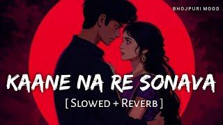 Kaane Na Re Sonava -  Lofi (Slowed + Reverb) |  Sonam Yadav | काने न रे सोनवा धीरज अब बांध  ll