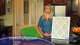 Carrier at Home with Chelsea Lipford Wolf - Air Filters