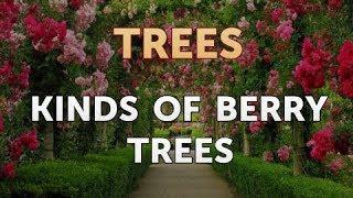 Kinds of Berry Trees