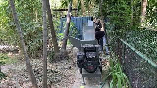 Green Waste Reduction with Our Wood Chipper | Eco-Friendly Arborist Solutions in Thailand