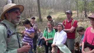 Return to Nature - Foraging with Wildman Steve Brill