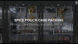 Spice Packaging Equipment | Delkor's LSP Series Case Packer | Pouch Packaging Solutions