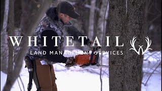 Whitetail Land Management Services