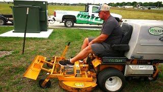 Lawn Renovation Overseeding Verticutting Dethatching Fescue Grass Seed