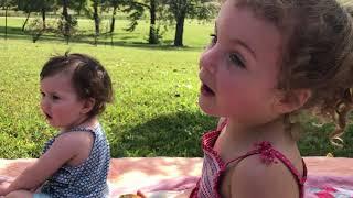 Pear Picking with Walnut Springs Farm.