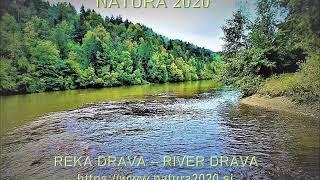 Summer school NATURA 2020