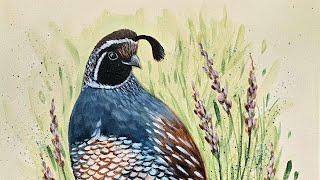 How to Paint a Quail Acrylic Painting LIVE Tutorial