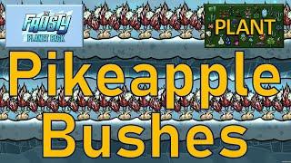 Oxygen Not Included Plant Tutorial bites Pikeapple Bushes